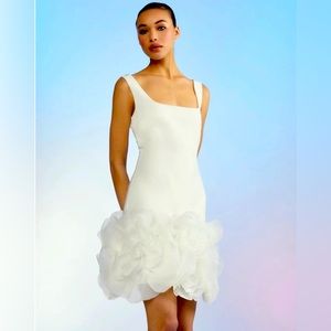 Beautiful Cynthia Rowley Kourtney Organza Flower Hem Dress